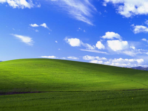 Bliss, the default Windows XP wallpaper / Used with permission from Microsoft.